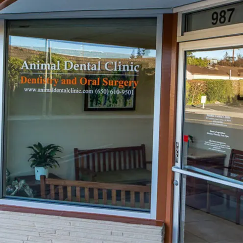 Outside of clinic with window reading "Animal Dental Clinic - Dentistry and Oral Surgery"